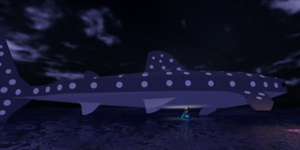 WHALE SHARK FISH (BACA DESKRIPSI)
