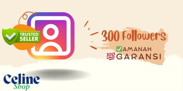 300 Followers Instagram HIGH QUALITY