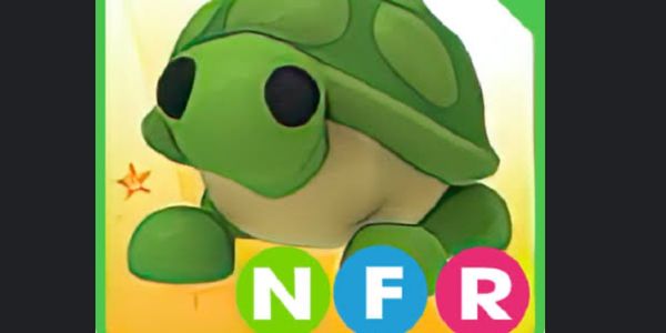 NFR Turtle