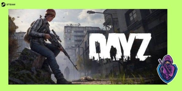 DayZ Steam Original