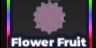 Flower Fruit