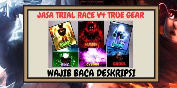 خدمة Race V4 True Gear