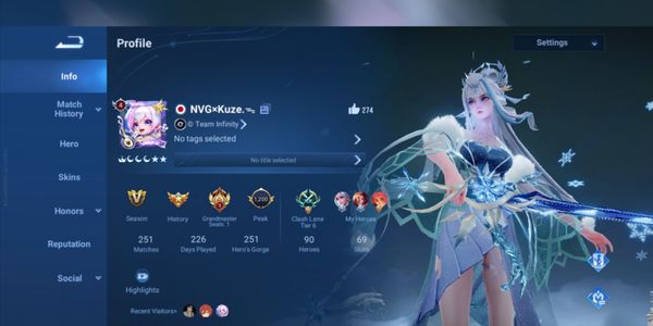 AKUN HONOR OF KING MURAH SKIN LUMAYAN