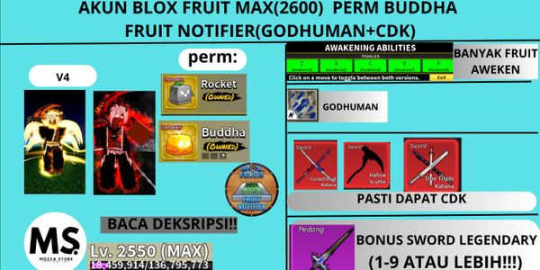 AKUN BLOX FRUIT MAX(2600)  PERM BUDDHA +FRUIT NOTIFIER(GODHUMAN+CDK)