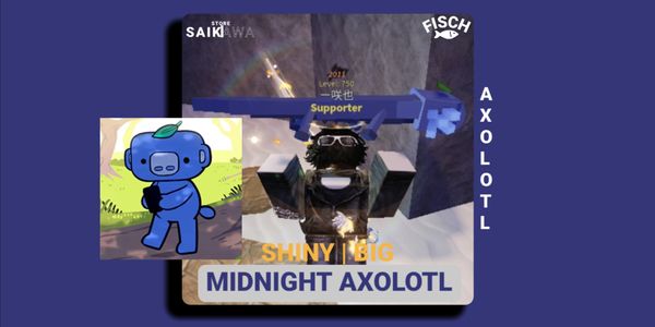 MIDNIGHT AXOLOTL ( BIG SHINY ) Punya Suara Spesial