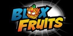 Private Server Blox Fruits (Sharing)