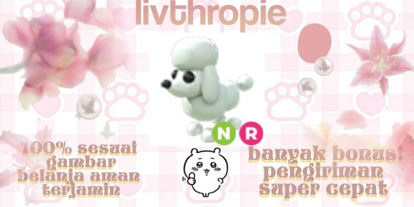 Poodle Neon Ride + Bonus