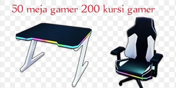Gamer