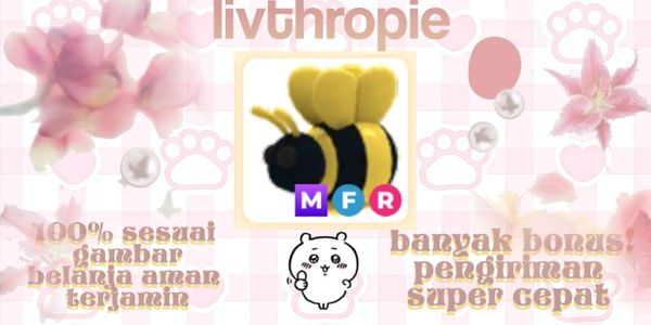 King Bee Mega Fly Ride + Bonus