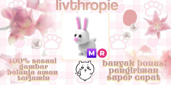 Bunny Mega Ride + Bonus