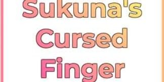 Sukuna Finger | Sakura Stand
