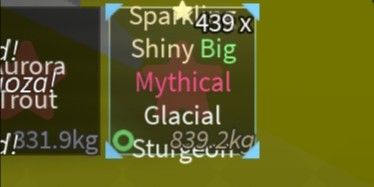 SSBM Glacier Sturgeon