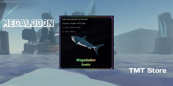 Megalodon