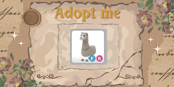 Llama FR