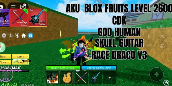 AKUN BLOX FRUITS LEVEL 2600 RACE DRACO V3