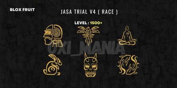 Jasa Race V4