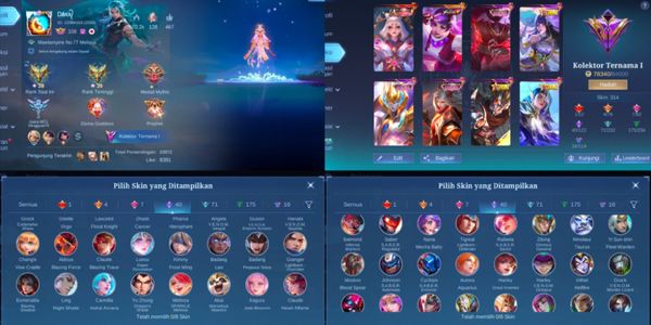 Akun Sultan Allmax Skin 300+ [Garansi 100% Sampe Game Bangkrut]