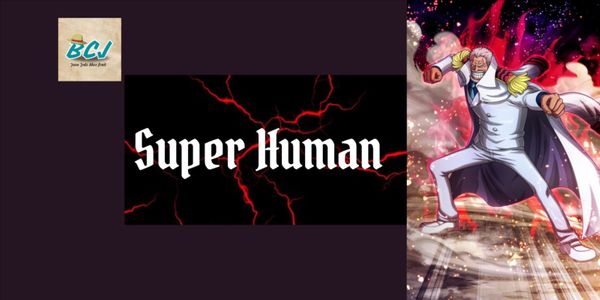 Fighting Style - Superhuman