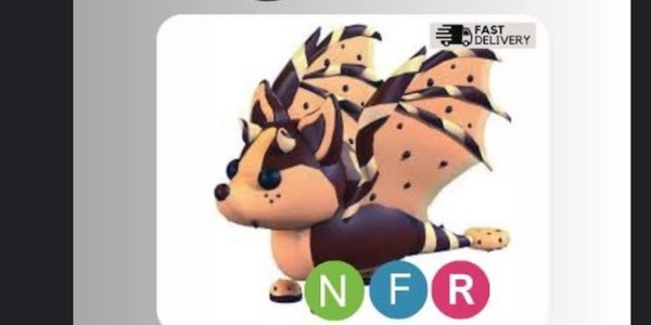 NFR Chocolate Chip Bat Dragon (CCBD)