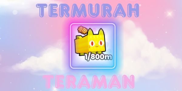 Corn Cat