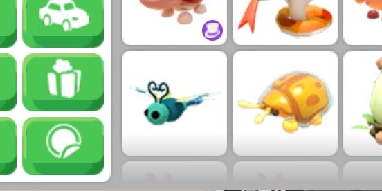 Dragonfly ;pet