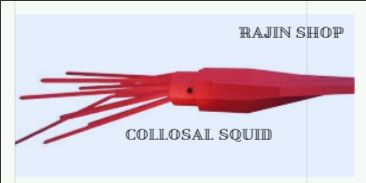 Collosal Squid