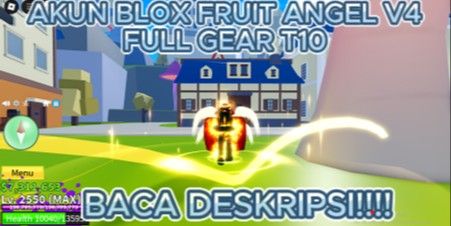 AKUN BLOX FRUIT LEVEL MAX RACE ANGEL V4 FULL GEAR 10 !