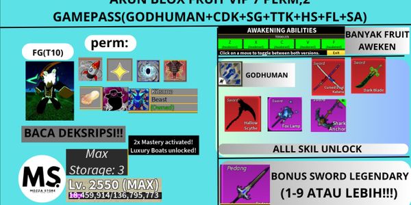 AKUN BLOX FRUIT VIP 7 PERM,2 GAMEPASS(GODHUMAN+CDK+SG+TTK+HS+FL+SA)
