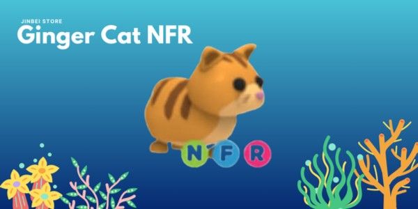 Ginger Cat NFR - Adopt Me