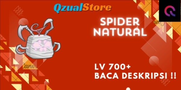 Spider (Natural)