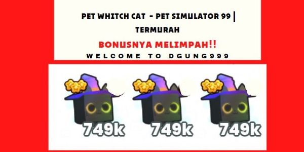 Witch Cat