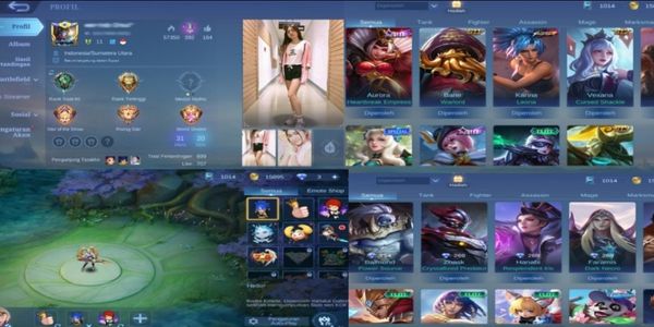 ORI FANNY AND AURORA STARLIGHT SKIN ACCOUNT