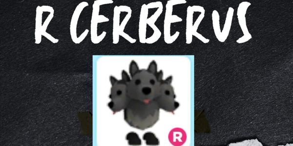R cerberus
