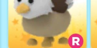 Griffin N