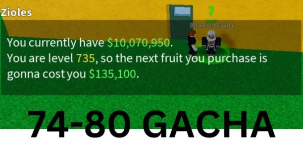 Bloxfruit Account Level 700+ |10M Money| 10 Million Money | Suitable for Gacha, Raid, etc