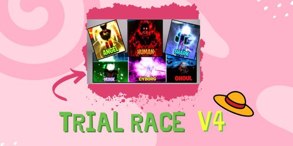 Jasa Race V4