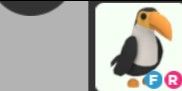 Toucan FR - Roblux Storee