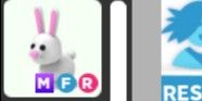 Bunny MFR - Roblux Storee