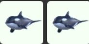 Orca - Roblux Storee