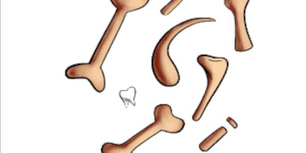 JOCKEY BONE FOR GACHA IN SEA 3 200 BONE