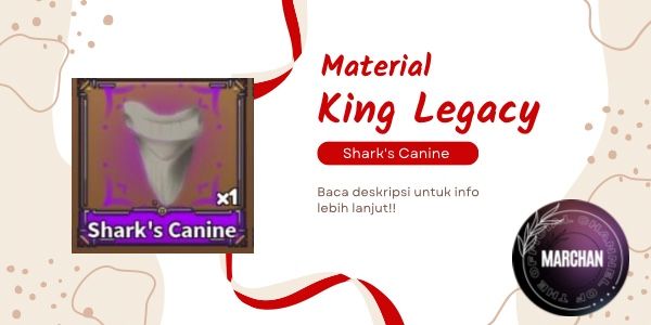 Shark's Canine | King Legacy