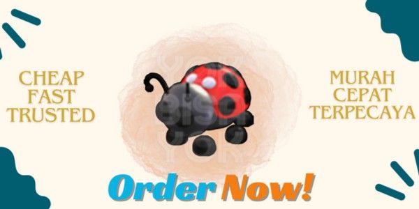 LADYBUG - Adopt Me