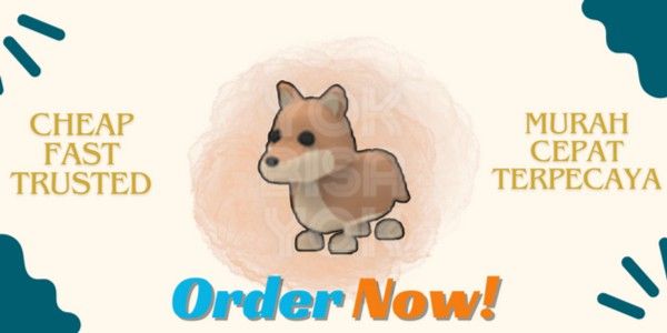Dingo - Adopt Me