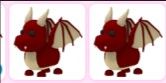 Dragon Pet Adopt Me