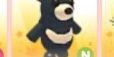 Black Moon Bear N(Neon) -Adopt Me