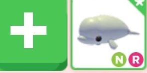 Beluga Whale NR(Neon Ride) -Adopt Me