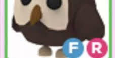 FR OWL