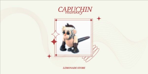Capuchin Monkey