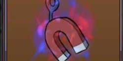 Magnet Fruit