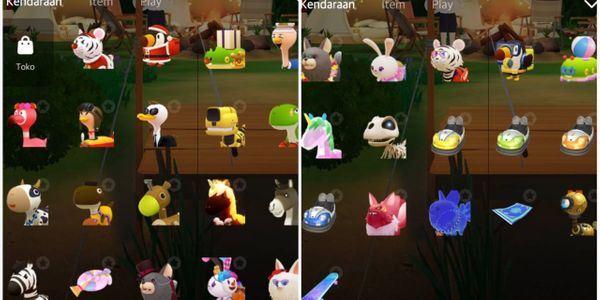 Animal full pack